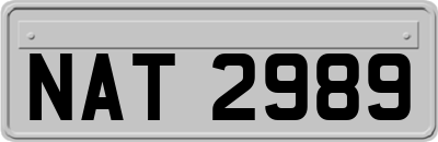 NAT2989