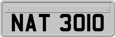 NAT3010