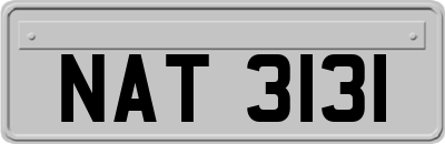 NAT3131