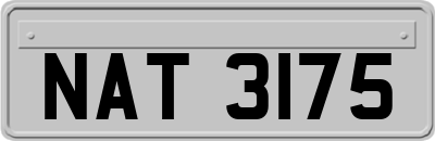 NAT3175