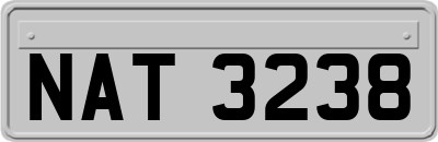 NAT3238