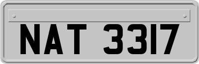 NAT3317