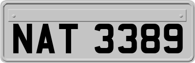 NAT3389