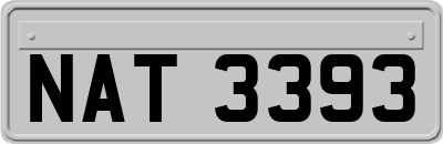 NAT3393