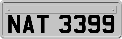 NAT3399