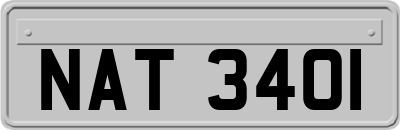 NAT3401