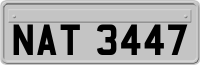 NAT3447