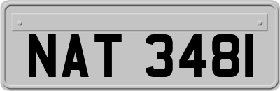 NAT3481