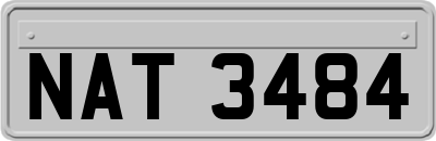 NAT3484