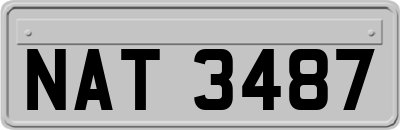 NAT3487