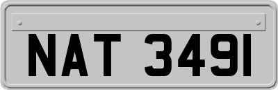 NAT3491