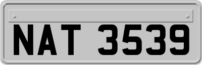 NAT3539