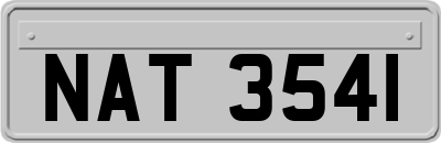 NAT3541