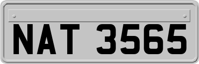 NAT3565