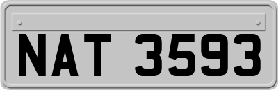 NAT3593