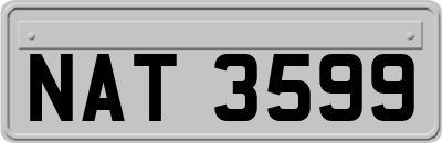 NAT3599