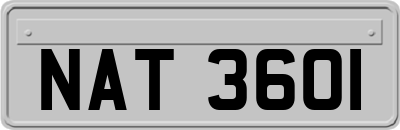 NAT3601