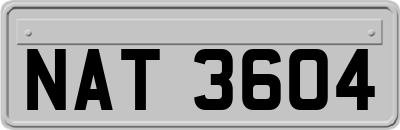 NAT3604