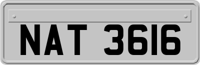 NAT3616