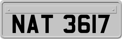 NAT3617