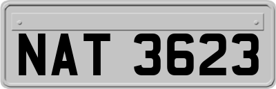 NAT3623