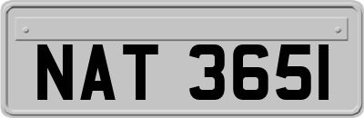 NAT3651