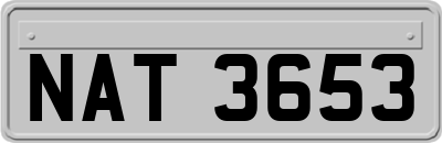 NAT3653