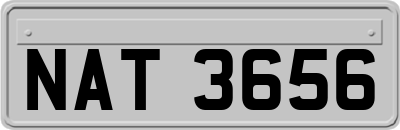 NAT3656