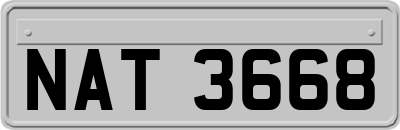 NAT3668