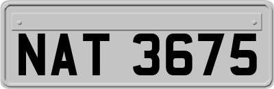 NAT3675