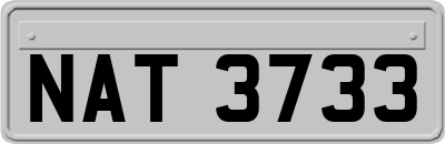 NAT3733