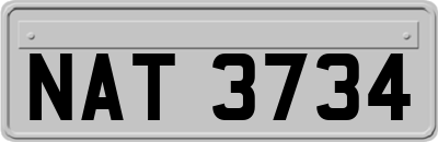 NAT3734