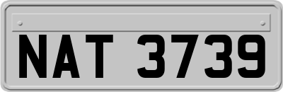 NAT3739