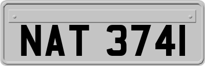 NAT3741