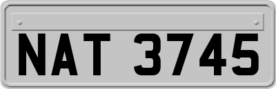 NAT3745