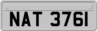 NAT3761