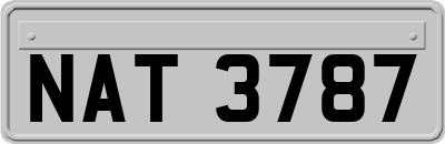 NAT3787