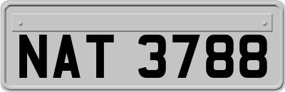 NAT3788