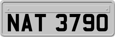 NAT3790