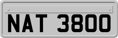 NAT3800