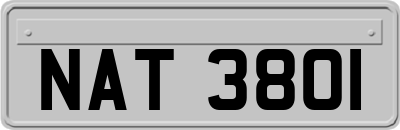 NAT3801