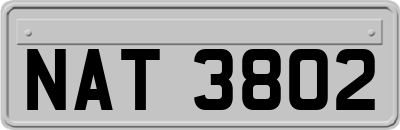 NAT3802