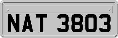 NAT3803