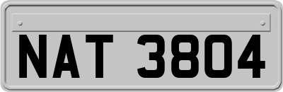 NAT3804