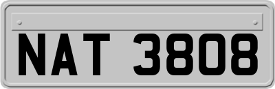 NAT3808