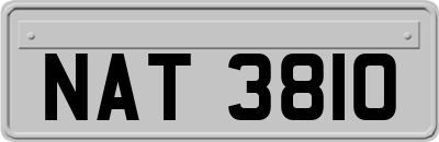 NAT3810