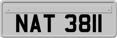 NAT3811