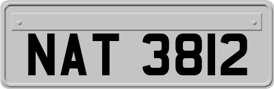 NAT3812