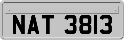 NAT3813