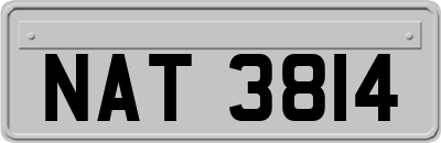 NAT3814